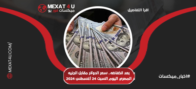 استقرار سعر الدولار في مصر تباين في الأسعار بين البنوك