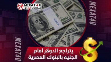 يتراجع-الدولار-أمام-الجنيه-بالبنوك-المصرية-1