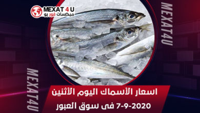 اسعار-الأسماك-اليوم-الأثنين-7-9-2020-فى-سوق-العبور